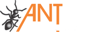 Antex